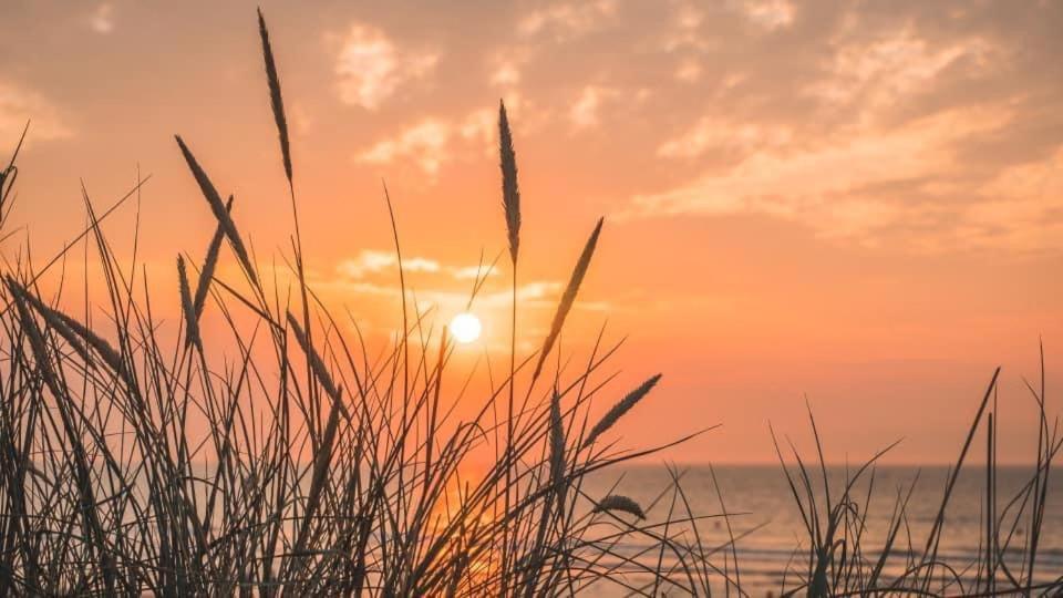 Duinendaele 232 Met Sauna Bij Plopsaland En Natuurreservaat De Panne Eksteriør billede